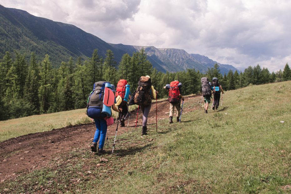 shutterstock_781521787